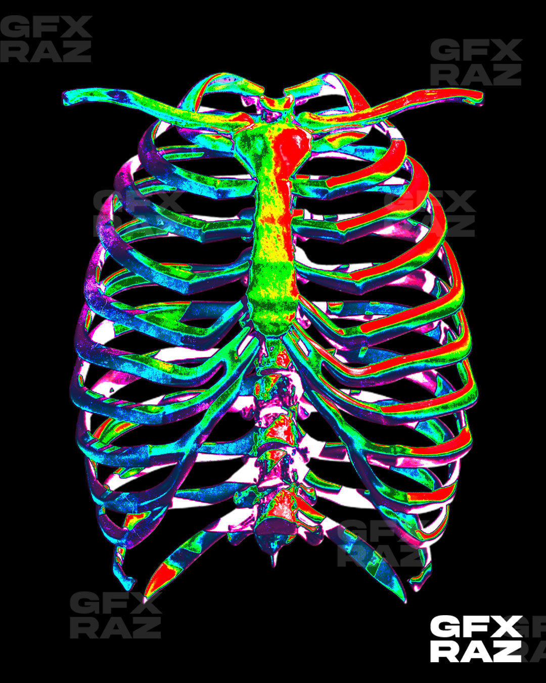 INFA RIBCAGE - PREMADE