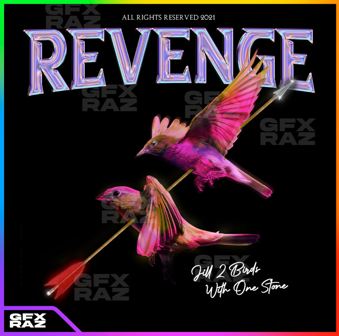 2 BIRDS WITH ONE STONE - GFXRAZ