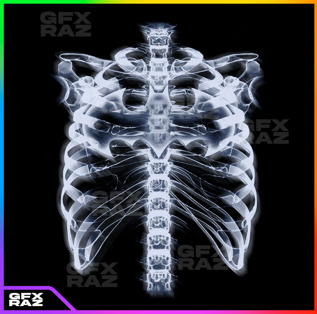 XRAY RIBCAGE - PREMADE