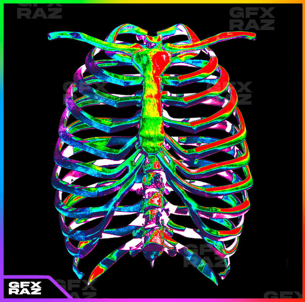INFA RIBCAGE - PREMADE