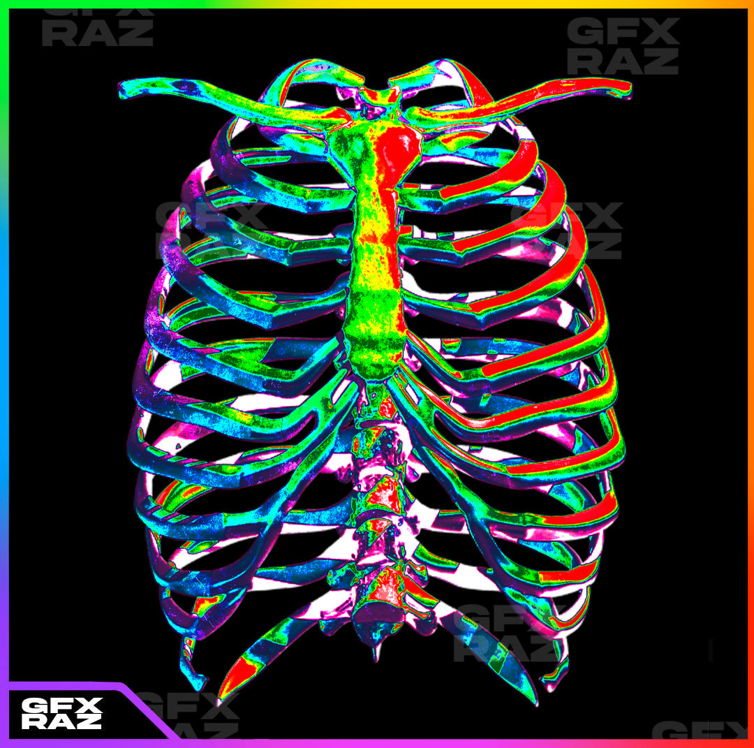 INFA RIBCAGE - PREMADE